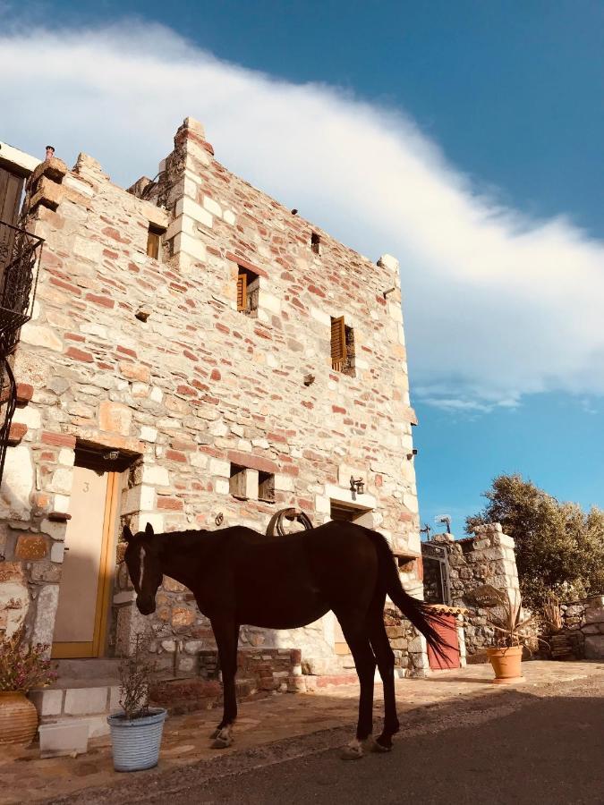 Kokkala Castle Rizaraki酒店 外观 照片